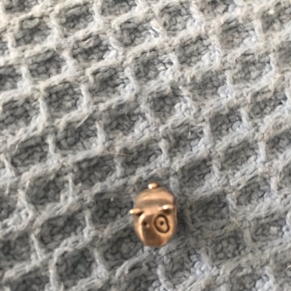 Pandora Jewelry - Pandora charm retired